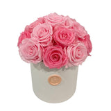 Pink Mix Dome (1 left)