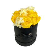 Large Canary Yellow Soft Hydrangeas Special (1 left)