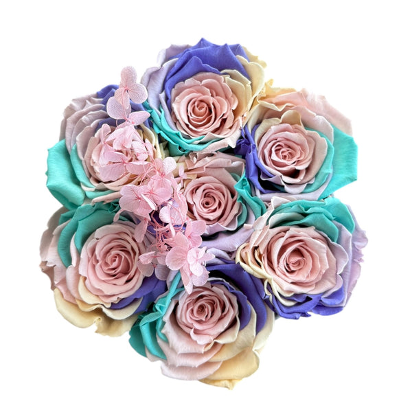 Pastel Unicorn Hydrangeas Special (1 left)