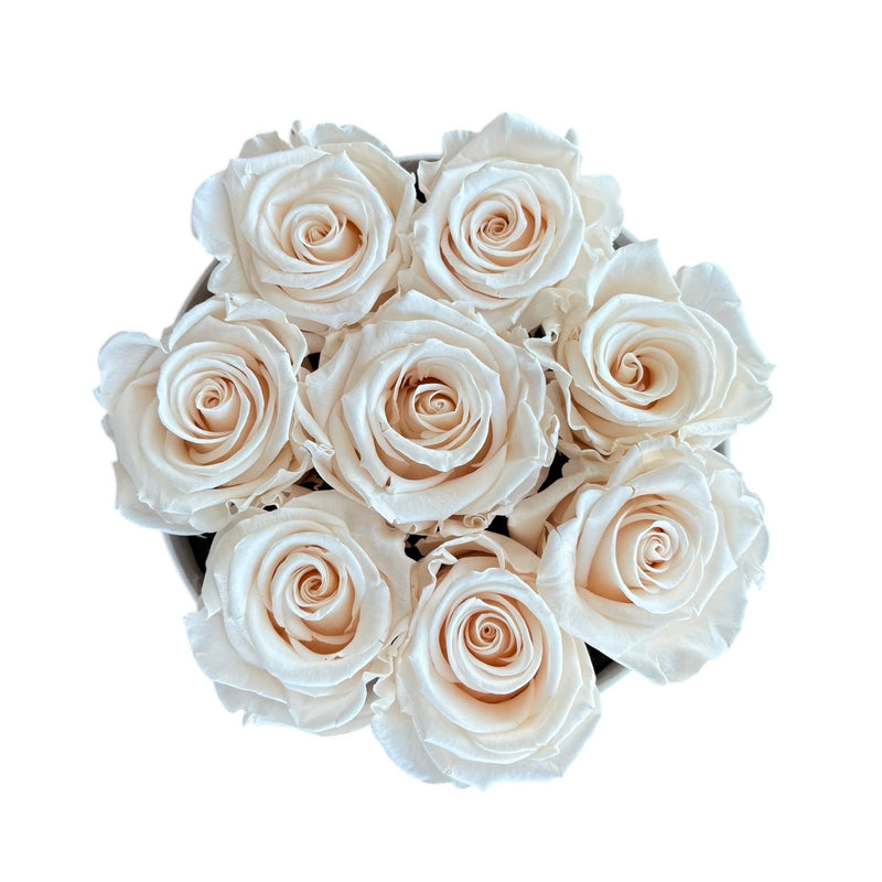 Light Blush Classic Round Special (1 left)