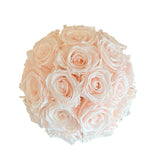 Blush Dome Special