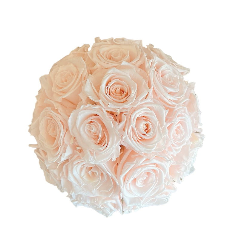 Blush Dome Special