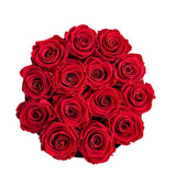 Red Black Velvet Signature Round Plus (0 left)