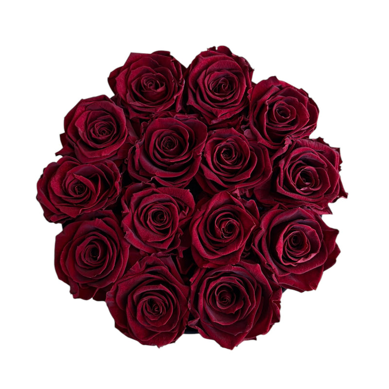 Large Burgundy Signature Plus Special (1 left)