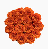 Orange Signature Round Plus (1 left)