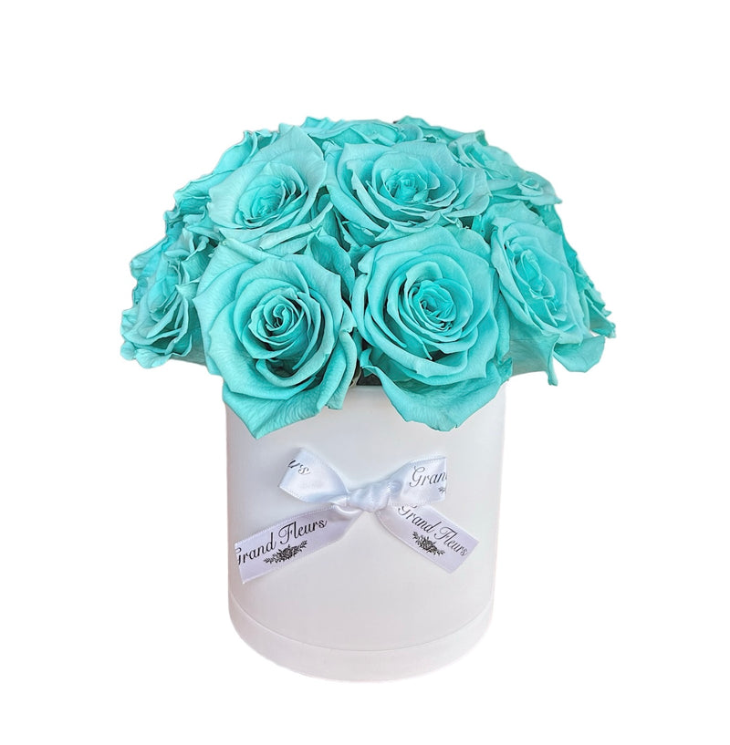 Tiffany Blue Dome Special (1 left)