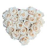 Blush Pink Velvet Signature Heart (1 left)