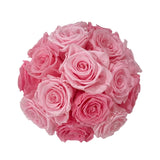 Pink Mix Dome (1 left)