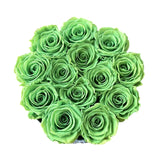 Light Green Signature Round Plus Special (1 left)