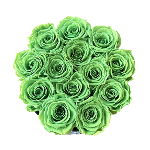 Light Green Signature Round Plus Special (1 left)