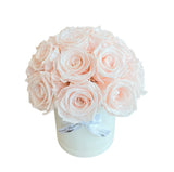 Blush Dome Special