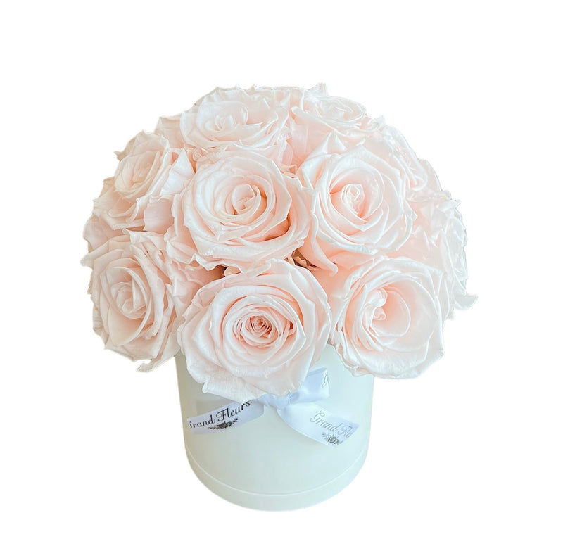 Blush Dome Special