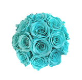 Tiffany Blue Dome Special (1 left)