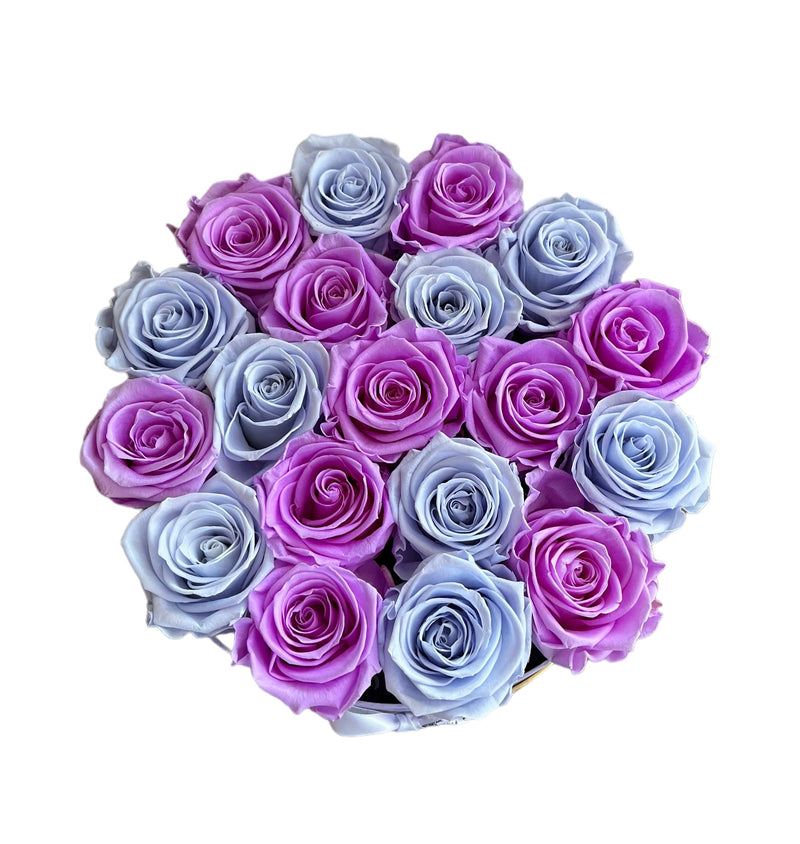 Lavender Blue and Sweet Lilac Special (1 left)