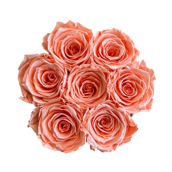 Sunset Orange Marble Special (1 left)