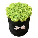 Light Green Signature Round Plus Special (1 left)