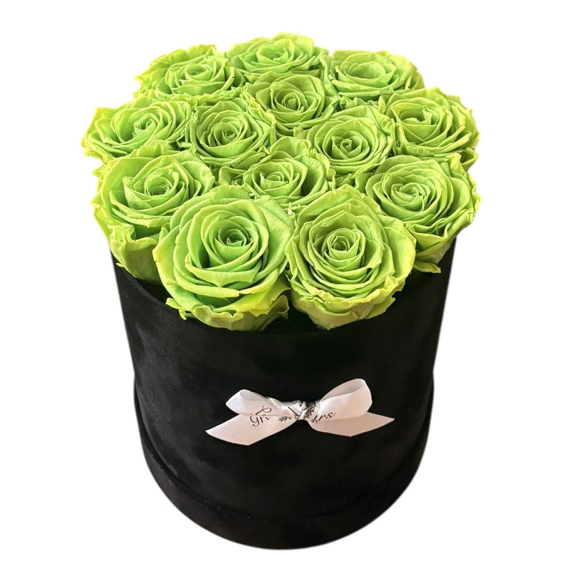 Light Green Signature Round Plus Special (1 left)