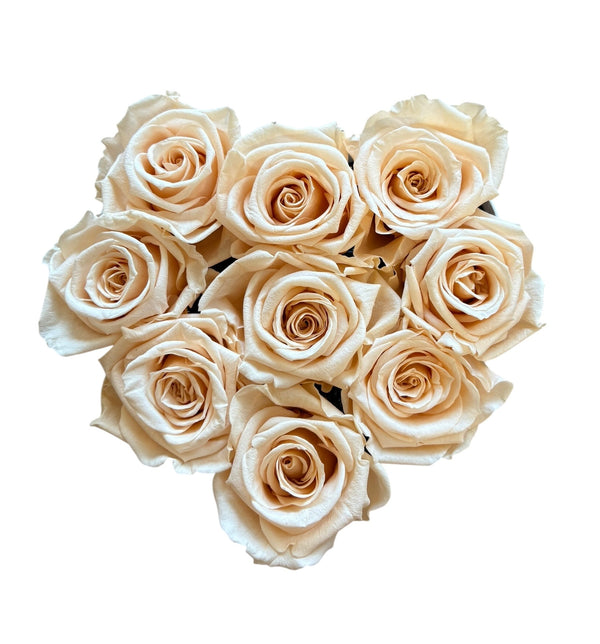 Light Peach White Heart Special (1 left)