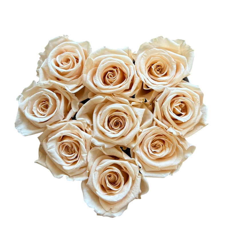 Light Peach White Heart Special (1 left)