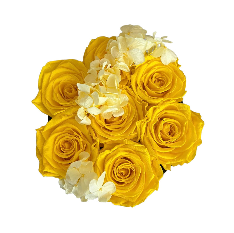 Large Canary Yellow Soft Hydrangeas Special (1 left)
