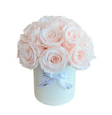 Blush Dome Special
