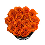 Orange Black Velvet Round (2 left)