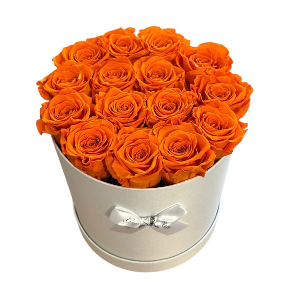 Orange Signature Round Plus (1 left)