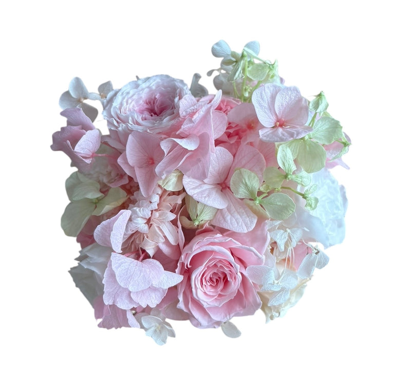 The Adeline (1 left)