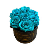 Aquamarine Petite Round (1 left)