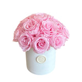 Bridal Pink Dome Special