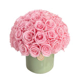 The Aurelia Dome *pick up only*