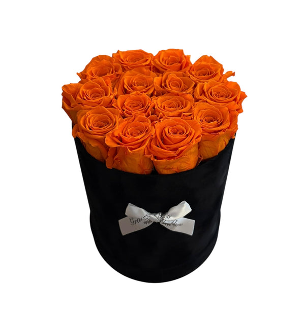 Orange Black Velvet Round (2 left)