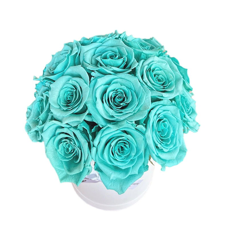 Tiffany Blue Dome Special (1 left)