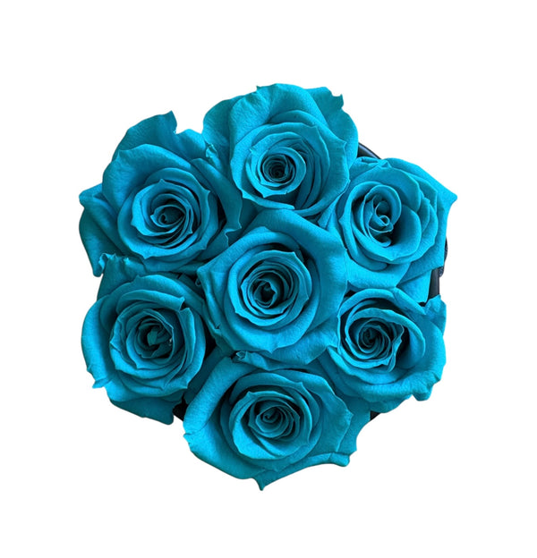 Aquamarine Petite Round (1 left)