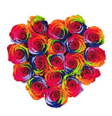 Rainbow Luxe Velvet Heart Special