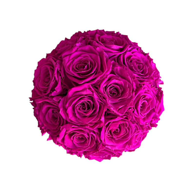 Hot Pink Dome (1 left)