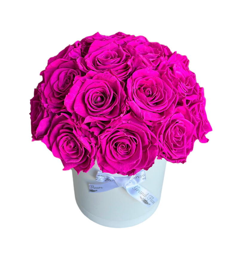 Hot Pink Dome (1 left)