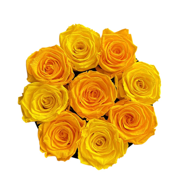Yellow Mix Velvet Special (1 left)
