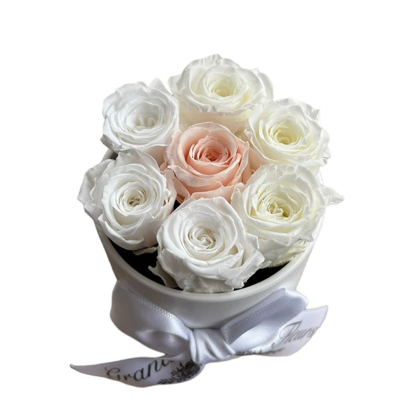 White and Blush Mini Special (1 left)