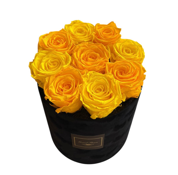 Yellow Mix Velvet Special (1 left)