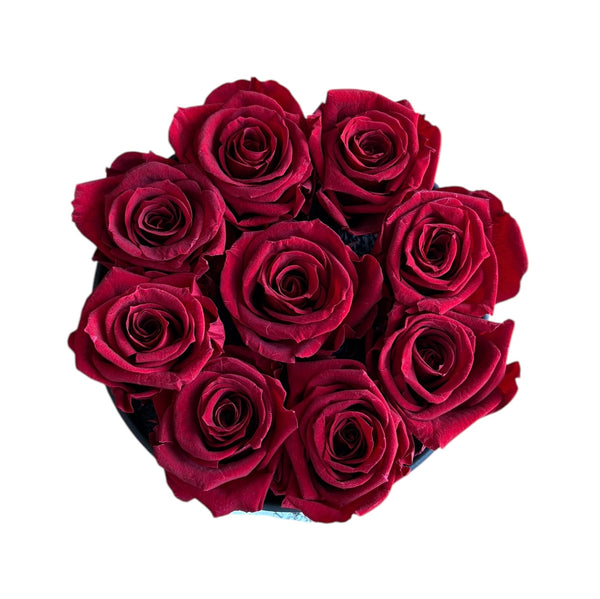 Deep Red Special (2 left)
