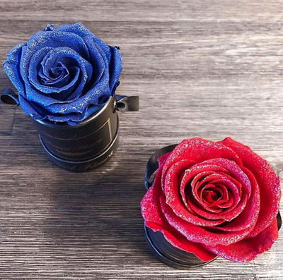 The One Fleur (20+ colors) – Grand Fleurs The One Fleur (20+ colors) – Grand Fleurs
