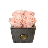 Large Etched Quad Fleurs