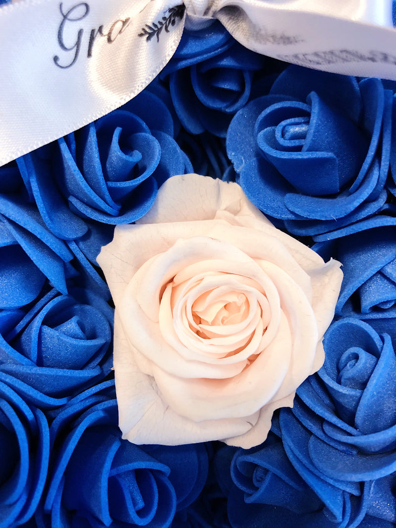 Royal Blue Bear Special