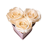 Infinity Large Trio Heart (20+ colors)