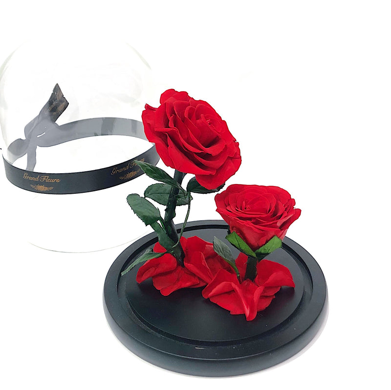Infinity Double Blossom Belle *Flash sale