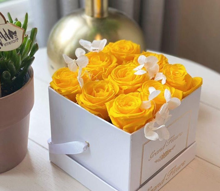 Infinity Cloud 9 – Grand Fleurs