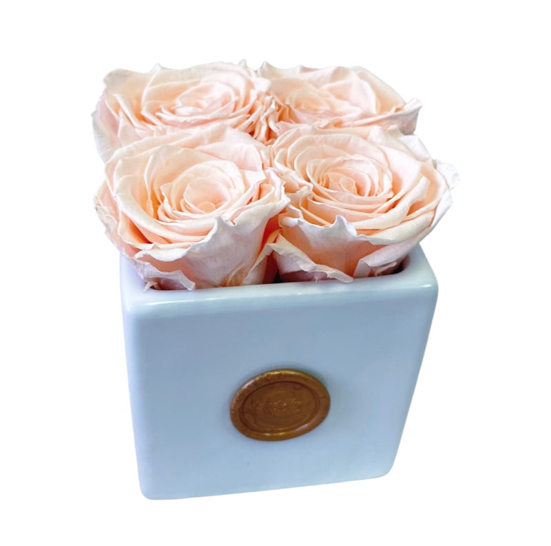 Infinity Camille Vase Special (10+ colors)