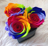 Infinity Large Trio Heart (20+ colors)