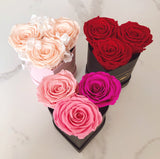 Infinity Large Trio Heart (20+ colors)